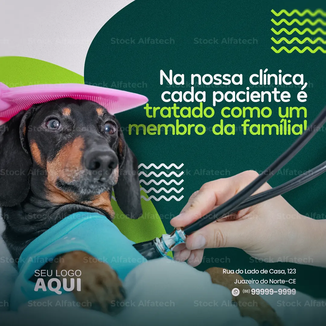 Psd flyer 100% editável para divulgação de banho, tosa e veterinário