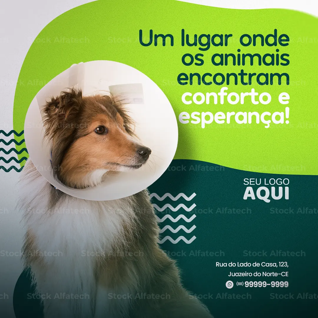 Saúde animal com atendimento profissional em Psd flyer 100% editável